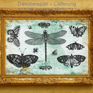 May include: A framed print with detailed black and white illustrations of butterflies, moths, and a dragonfly on a distressed teal background. The artwork is in an ornate gold-coloured frame, creating a vintage aesthetic.