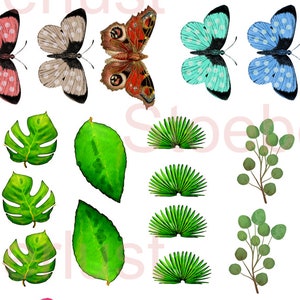 May include: Watercolor illustrations of butterflies, flowers, and leaves in various colors. The butterflies have detailed wing patterns in shades of blue, pink, and brown. Green monstera leaves and other foliage are also featured.