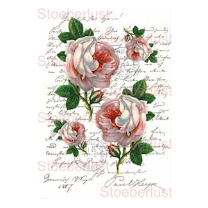 Calcomanía shabby chic con escritura a mano y 4 rosas, calcomanía de película al agua resistente al agua con motivo vintage, tatuaje para muebles, varios tamaños