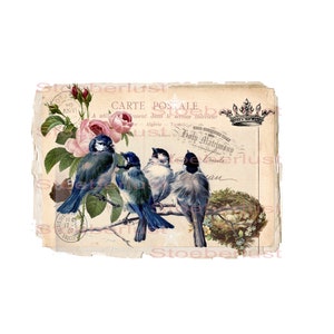 Vintage Illustration – vier Vögel auf Ast mit Nest und Krone, shabby Hintergrund – ideal für DIY & Transfer