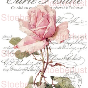 Könnte beinhalten: Vintage Postkarte mit einer rosa Rose als Hauptmotiv. Das Design beinhaltet französischen Text, handschriftliche Schrift und eine Briefmarke. Die Rose, mit ihren zarten rosa Blütenblättern und grünen Blättern, steht im Mittelpunkt.