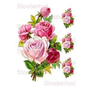 4 x pink roses on A 4 background transparentWater slide film laser waterproof furniture tattoo decal