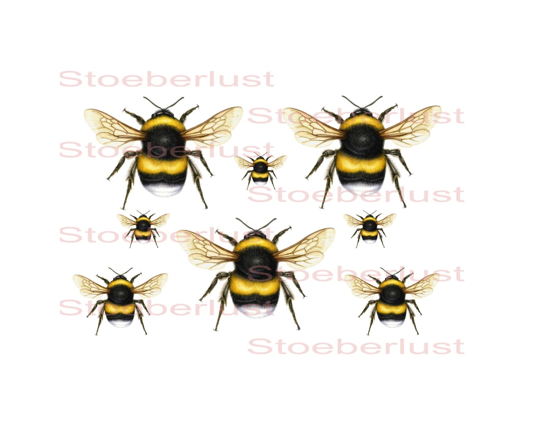 Bee Decorative Paper 7 Bee Design A4 – Full-color Transparent for Furniture, Paper & DIY - Etsy