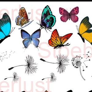 May include: A collection of colorful butterfly and dandelion illustrations. The butterflies feature various colors, including yellow, blue, pink, orange, and purple. The dandelions are black and white line drawings.