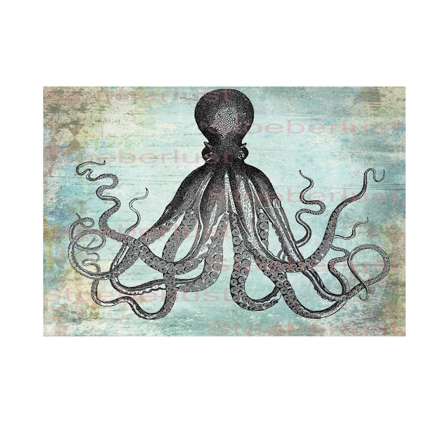 vintage Krake Octopus im shabby Hintergrund auf A 4,Decal, Wasserschiebefolie wasserfest, Transferfolie, Möbel, Papier, verschiedene Größen