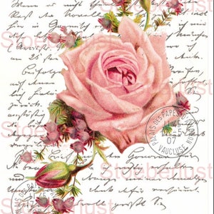 Puede incluir: Ilustraci&oacute;n floral de estilo vintage con una gran rosa rosa, capullos y ramitas de flores moradas. El dise&ntilde;o incluye escritura manuscrita y una marca postal de 'Palais des Papes' en Vaucluse.