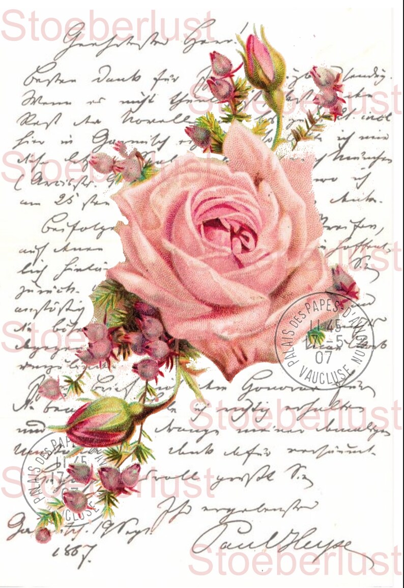 Puede incluir: Ilustraci&oacute;n floral de estilo vintage con una gran rosa rosa, capullos y ramitas de flores moradas. El dise&ntilde;o incluye escritura manuscrita y una marca postal de 'Palais des Papes' en Vaucluse.