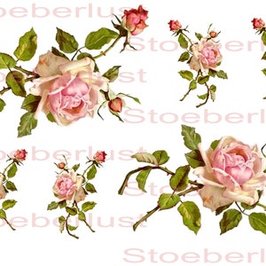 6 x roses with buds rub on stickers or decal film, water-slide film waterproof furniture, paper, A 4 for do-it-yourself DIY