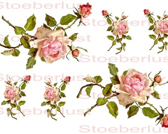 6 x Rosen mit Knospen Rub on Sticker  oder Decalfolie, Wasserschiebefolie wasserfestMöbel, Papier,   A 4  für Selbermacher DIY