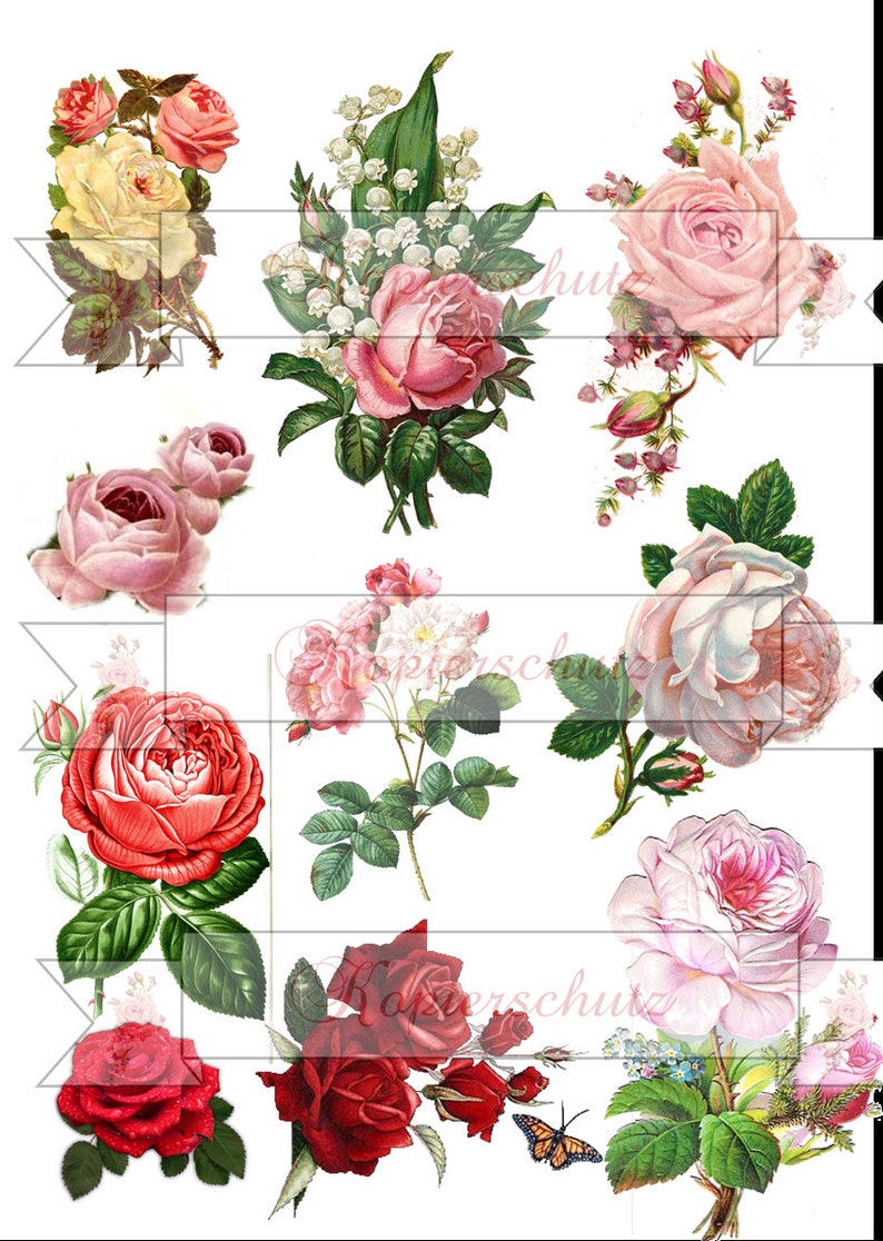 Decalfolie wasserfest 10 Rosen auf A 4 oder 2 x 10, 3 x 10 oder 4 x 10 Rosen auf A 4 für Ihre Ideen Bild 3
