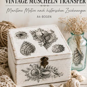 Könnte beinhalten: Eine weiße Holzkiste mit Used-Look, verziert mit Vintage-Muschel-Transfers. Die Kiste hat einen Metallverschluss und ist von Muscheln, einem Seestern und einer Glasvase mit Trockenblumen umgeben. Der Text "VINTAGE MUSCHELN TRANSFER" steht oben.