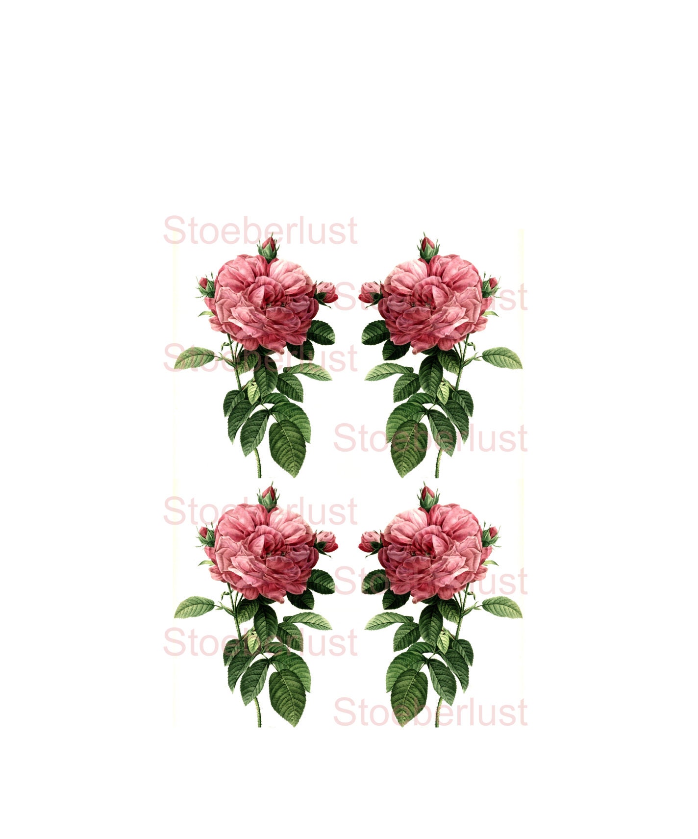 different sizes waterproof 6 x pink and red roses  on a A 4Decalfolie waterslide Laser  sheet  Transfer Furniture