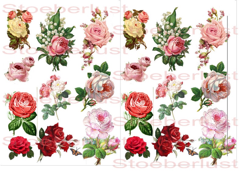 Decalfolie wasserfest 10 Rosen auf A 4 oder 2 x 10, 3 x 10 oder 4 x 10 Rosen auf A 4 für Ihre Ideen Bild 4