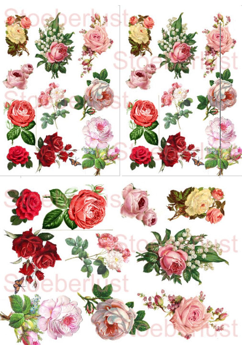 Decalfolie wasserfest 10 Rosen auf A 4 oder 2 x 10, 3 x 10 oder 4 x 10 Rosen auf A 4 für Ihre Ideen Bild 5