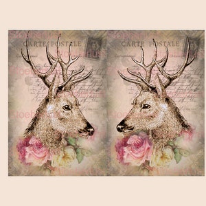 Reindeer on Roses shabby background looking right Decalfolie, waterslide Laser waterproof Transfer Furniture, different sizes / materials