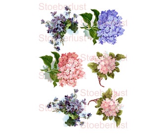 Decal oder Rub on, or adhesive foil, waterslide Laser Hydrangea Flowers  Transfer Furniture, different sizes