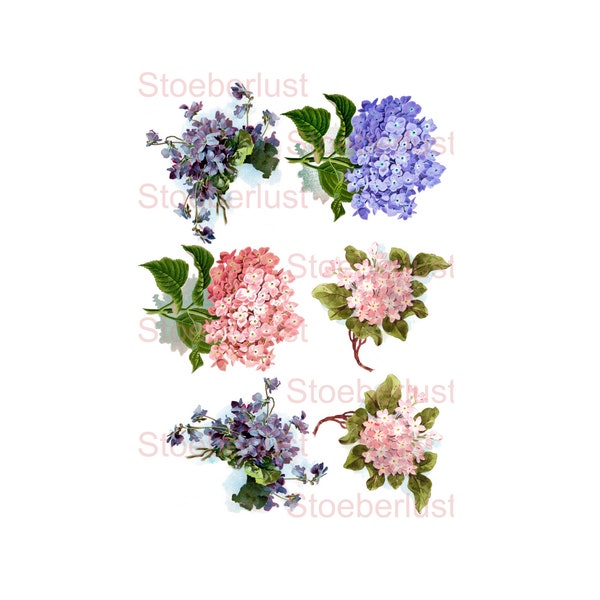 Decal oder Rub on, or adhesive foil, waterslide Laser Hydrangea Flowers  Transfer Furniture, different sizes