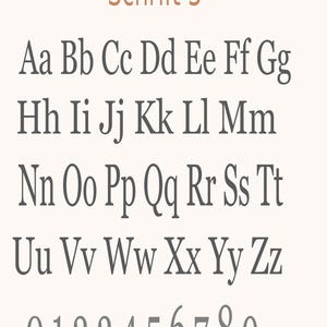 May include: A digital display of the alphabet in uppercase and lowercase letters, along with the numbers 0 through 9, presented in a dark gray serif font. The text 'Schrift 3' appears in a light brown color at the top of the character set.