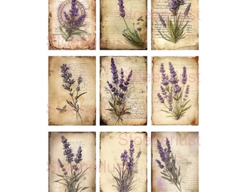 9 x atc cards purple flowers on A4 on sticker or water slide film decal waterproof vintage motif, furniture tattoo, various sizes