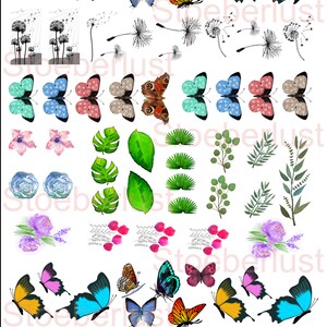 May include: A collection of colorful butterfly, floral, and botanical illustrations. The butterflies feature various wing patterns and colors, including blue, orange, yellow, and pink. Floral elements include watercolor roses, leaves, and dandelions.