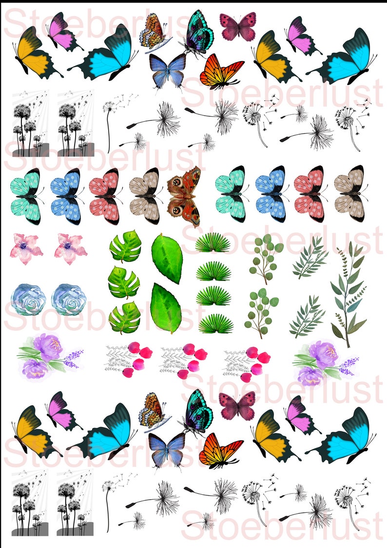 May include: A collection of colorful butterfly, floral, and botanical illustrations. The butterflies feature various wing patterns and colors, including blue, orange, yellow, and pink. Floral elements include watercolor roses, leaves, and dandelions.