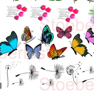 May include: A collection of watercolor illustrations featuring butterflies, flowers, and dandelions. The butterflies have various colors, including yellow, blue, orange, and purple. The flowers are purple and pink, and the dandelions are black and white.