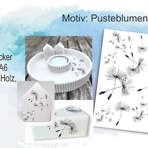 Rub-On paardenbloemen A6, wensvervuller en andere motieven, transferstickers voor bijvoorbeeld glas, gietmassa, hout, meer in de doe-het-zelfwinkel,