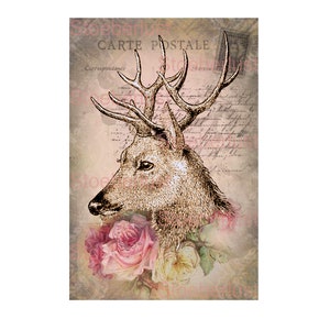 Reindeer on Roses shabby background looking left Decalfolie, waterslide Laser waterproof Transfer Furniture, different sizes / materials
