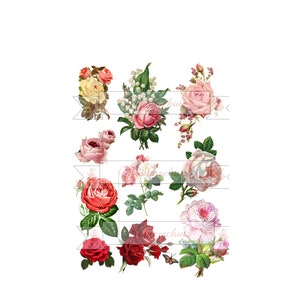 Decal foil waterproof 10 roses on A 4 or 2 x 10, 3 x 10 or 4 x 10 roses on A 4 sheet for your ideas