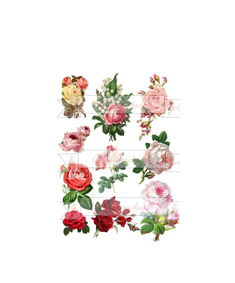 Decalfolie wasserfest 10 Rosen auf A 4 oder 2 x 10, 3 x 10 oder 4 x 10 Rosen auf A 4 für Ihre Ideen Bild 1