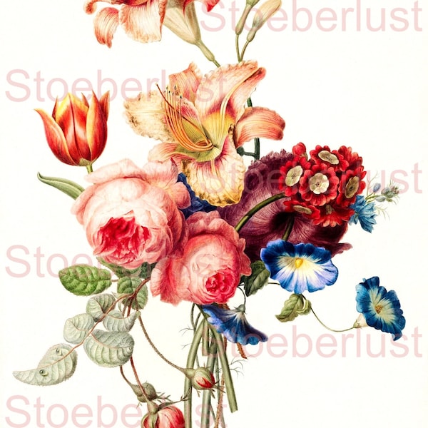 vintage Blumen botanische Zeichnung  Decalfolie, Möbeltattoo Abziehbild Laser Transferfolie, Möbel verschiedene Materialien und Größen