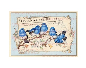 Decalfolie, waterslide Laser shabby  blue birds  rose in vintage frame waterproof Transfer Furniture, different sizes