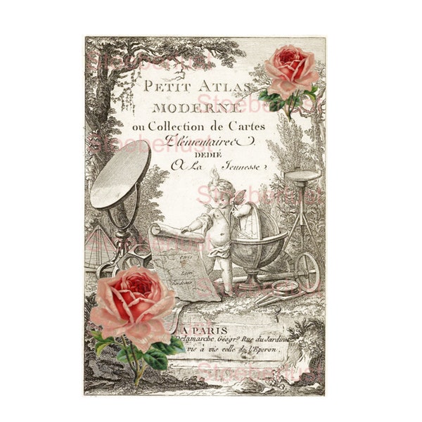 petit Atlas mit Rosen Wasserschiebefolie Abziehbild wasserfest  shabby chic Transferfolie, Möbeltattoo, Papier, verschiedene Größen