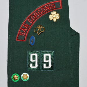 May include: Green Girl Guide sash with a red and green patch that says "SAN GORGONIO", a gold flower badge, a blue badge with a flame design, a gold badge with two overlapping four-leaf clovers, a white number "99" patch, and two green star badges.