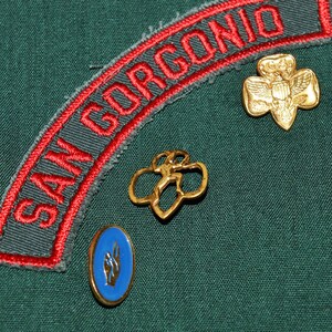 May include: A green fabric patch with red embroidered text that reads "SAN GORGENO". There are three gold-coloured pins attached to the fabric. One pin is a four-leaf clover with a figure in the centre. Another pin is a four-leaf clover with a bird in the centre. The third pin is a blue circle with a white symbol.