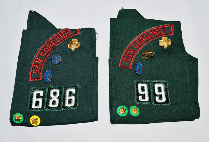 May include: Two green fabric patches with red embroidered text "SAN GORGONIO" and white numbers. The left patch has the number "686" and the right patch has the number "99".