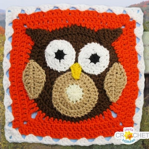 Könnte beinhalten: Ein gehäkeltes Eulenquadrat aus braunem, weißem und beigefarbenem Garn. Die Eule ist von einem roten Rand mit einem weißen gewellten Rand umgeben.