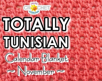 Tunisian Lacy Lattice Stitch Crochet PATTERN PDF - November 12" Totally Tunisian Calendar Blanket Square - Jayda InStitches