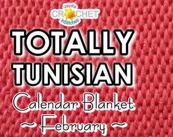 Tunisian Full Stitch Crochet PATTERN PDF - February 12" Totally Tunisian Calendar Blanket Square - Jayda InStitches