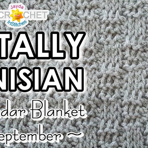 Tunisian Basket Weave Stitch Crochet PATTERN PDF - September 12" Totally Tunisian Calendar Blanket Square - Jayda InStitches