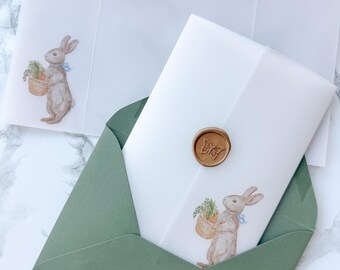 One for the Books Birthday Party Invitation Vellum Wrap, Classic Storybook Nursery Birthday Invitation Vellum