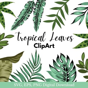 Tropical leaves Clipart Set, Monstera SVG Bundle, Tropical Leaf Vector, Monstera clipart, files for cricut Palm Branch, commercial use