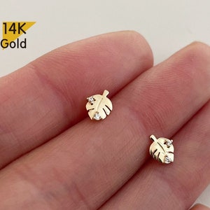 14K Solid Gold   Monstera Plant Leaf Stud Earrings, Tropical Leaf Studs - TGE40018