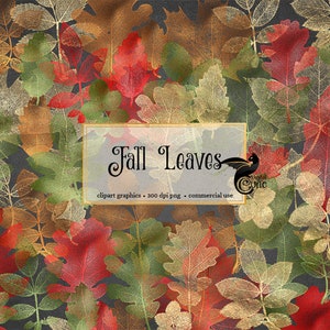 Fall Leaves Clipart, autumn leaf clipart red green brown gold leaf clip art overlays digital instant download fall autumn leaf skeletons