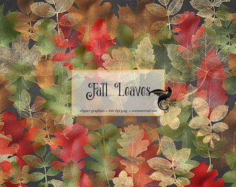 Fall Leaf Clipart, Autumn Skeleton Leaves Overlays (Digital Download)