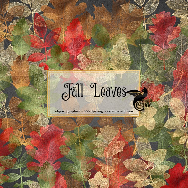Fall Leaves Clipart, autumn leaf clipart red green brown gold leaf clip art overlays digital instant download fall autumn leaf skeletons