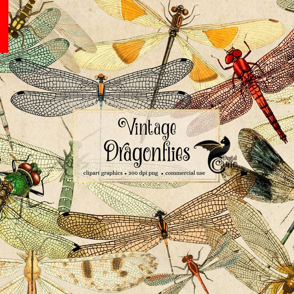 Vintage Dragonflies, vintage dragonfly clipart, antique illustrations, scientific illustrations, PNG graphics, scrapbook embellishments