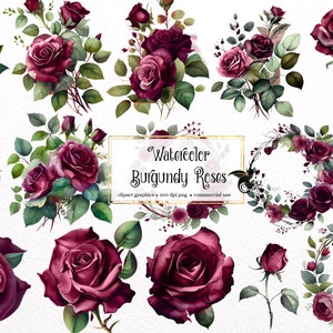 Aquarelle Bourgogne Roses Clipart - vin rouge roses et feuilles en téléchargement instantané au format PNG pour un usage commercial