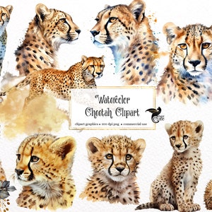 Acquerello Cheetah Clipart - simpatici animali della savana africana in formato PNG download istantaneo per uso commerciale