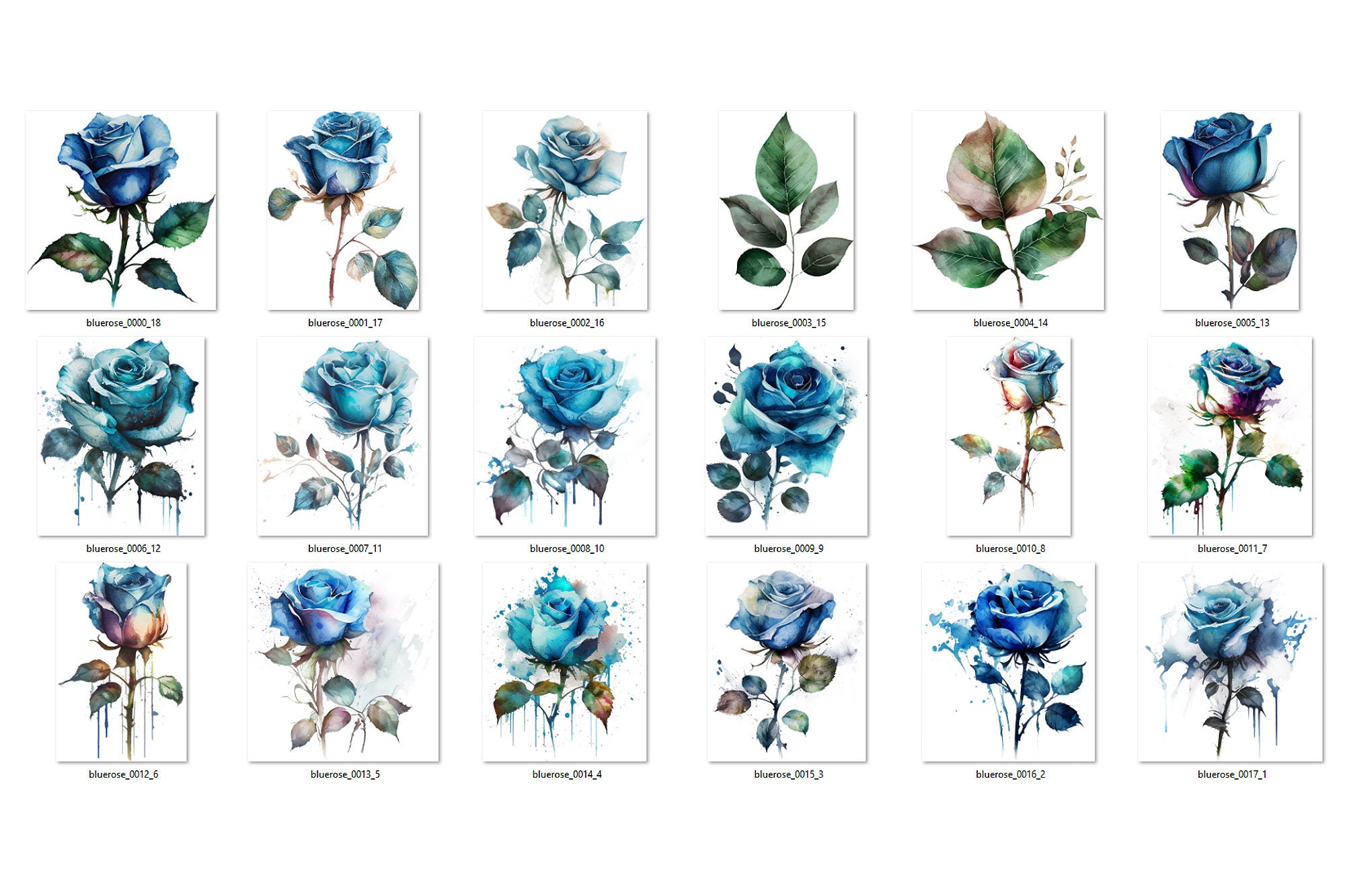 Printable Blue Roses Blue Watercolor Roses Clipart – Floral PNG Graphics (digital Download ...